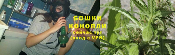 PSILOCYBIN Армянск