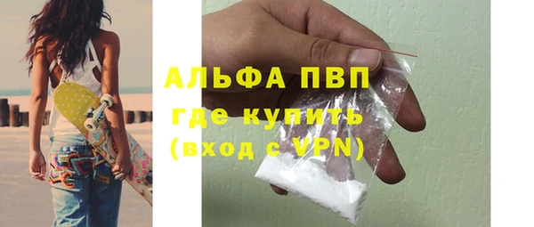 гидра Аркадак