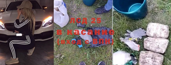 гидра Аркадак