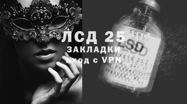 PSILOCYBIN Армянск