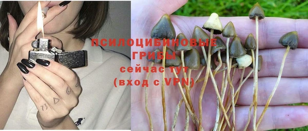 PSILOCYBIN Армянск