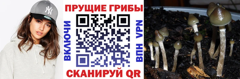 hydra сайт мориарти какой сайт Псилоцибиновые грибы MAGIC MUSHROOMS Усть-Кут